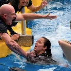Full** Jessica orca angriff jessica orca attack orca attack jessica radcliffe jessica radcliffe attack full twitter