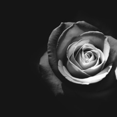 REVENGE (Striking The Demon Down)