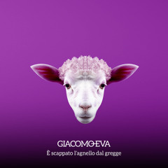 È scappato l'agnello dal gregge