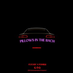 PILLOWS IN THE BACH (ITZCH3F X ITSMR22)