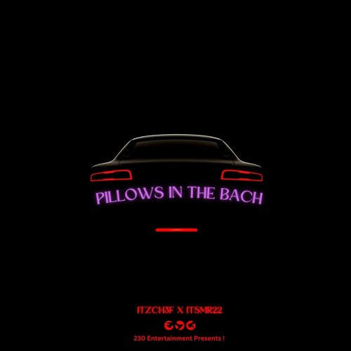 PILLOWS IN THE BACH (ITZCH3F X ITSMR22)