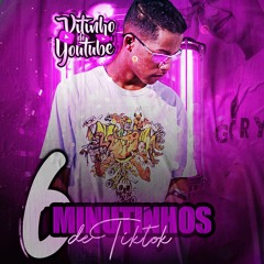 6 MINUTOS DAS MELHORES DO TIKTOK 2K21 (VITINHO DO YTB)