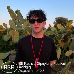 BS Radio at Gipsyland Festival - Acidgigi 05.08.2022