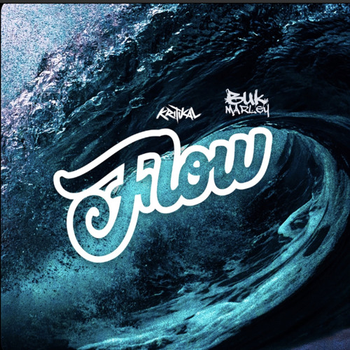 Kritikal Feat BukMarley - Flow Remix