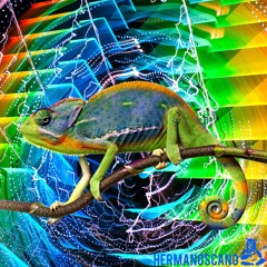 Kermode - Chameleon (Hermanoscano Remix)