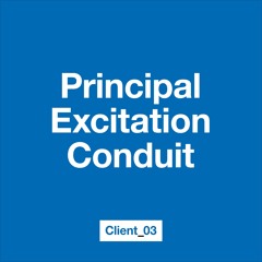 Principal Excitation Conduit