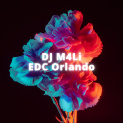 DJ M4Li - Discovery Project: EDC Orlando 2025 [Dubstep]