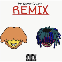 It’s never goodbye remix w/ caprice the new youngin (p. sogimura)
