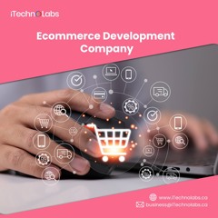Top - Ranking Ecommerce Development Company - ITechnolabs
