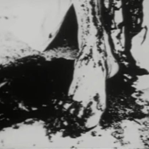 Psychedelic Buttsex cult reborn