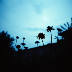 7 - COLD