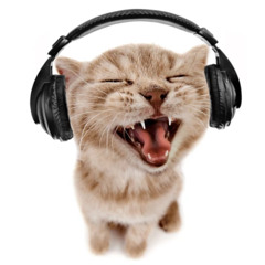 LATINC0RE SOULJAHHH MIX