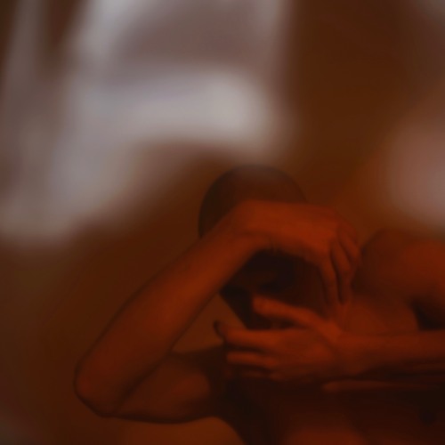 Visions of sugar plumbs for all The f**ked up kids