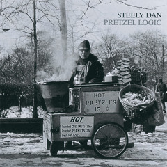 Any Major Dude Will Tell You - Steely Dan Cover