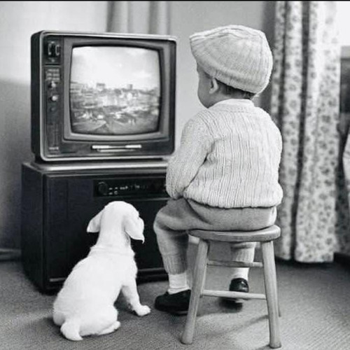 EL ICEBERG A_O 8 PROG 44 15 11 2025