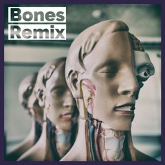 Golden Bug & In Fields - Bones (N.O.Y & Eran Yaari Remix)