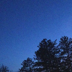 02. Reefer Madness, Chapter One (interlude) [+prod. JoeMay & Clemi$Dead+]