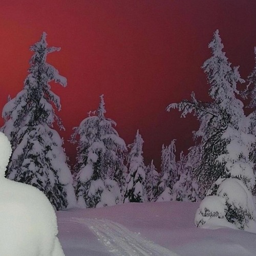 lose me (prod. Sogimura)