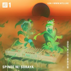 Spinee NTS guest mix