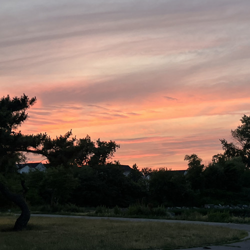 COGNITIVE DISSONANCE