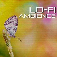 02 - FIREFLY No Bass - LoFi Ambient - Not A Fox Publishing