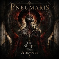 The Shape That Answers artwork