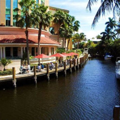 Best Things To Do In Davie Florida Tours Review