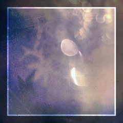 The Last Transmission