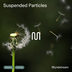 Suspended Particles