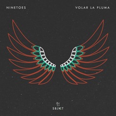 Ninetoes - Volar La Pluma ( Charly Govea Private Mix)