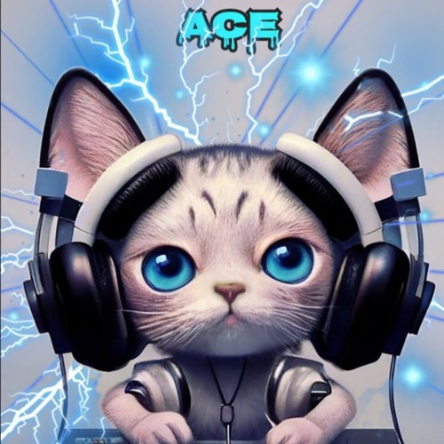 SPECIAL MEMORY ACE