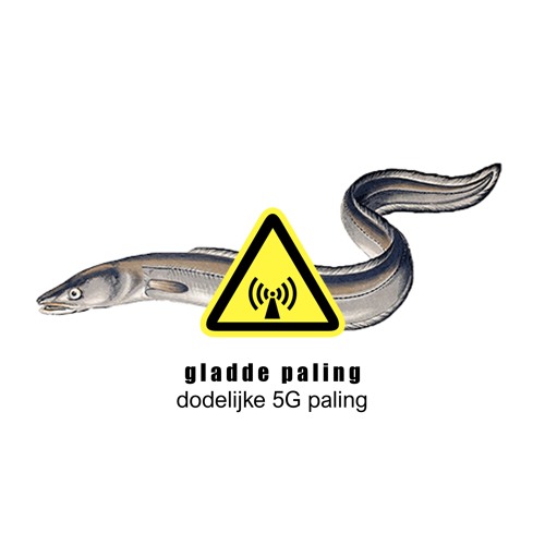 dodelijke 5G paling