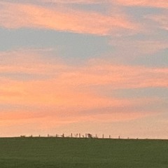 time (p. grayskies)