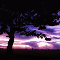 Full Album 15 Tracks Lofi  Radio giọng đọc ông Nguyễn Đình Toàn