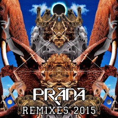PRANA - Boundless Nervasystem Remix 2015