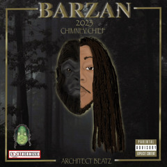 BARZAN-Chimney Chief