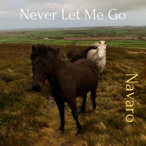 Never Let Me Go