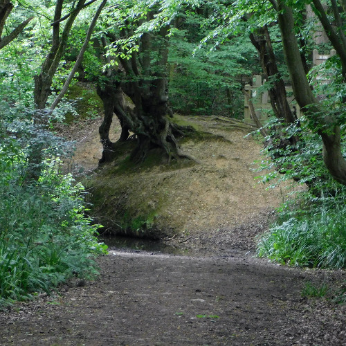Pulsating Steps