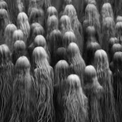 Through fields of hair