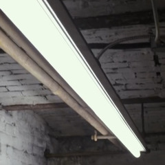 MOTION PICTURE FREESTYLE