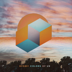 BVSMV - Colors of Us