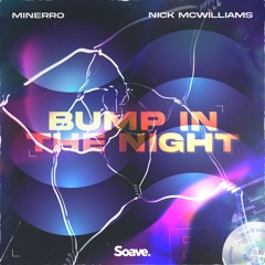 Minerro & Nick McWilliams - Bump In The Night