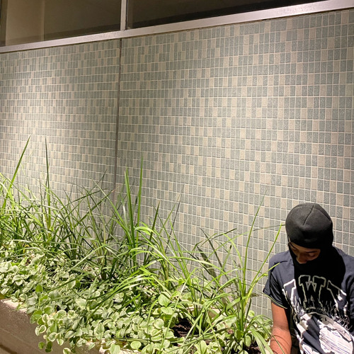 All Dawgs Go 2 Heaven