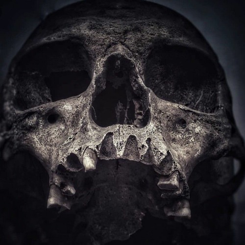Six Days War (DJ First der Finsternis Remix)