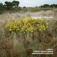 TEETH 3.12.24