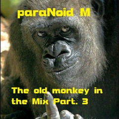 The Old Monkey In The Mix Part.MP3