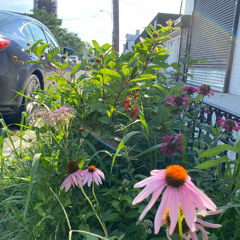 Thank you for your time