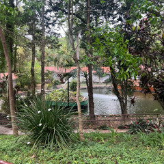 didnt know how to finish this one (demo)