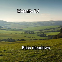 Bass meadows