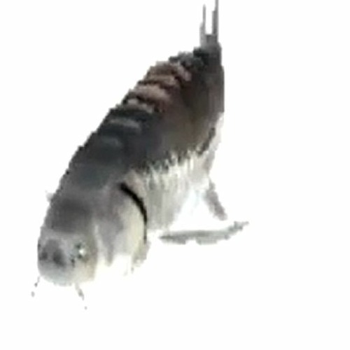 Stream I AM JUST A FISH by B!T ReCoRdz (P!Xel 2nd spam account